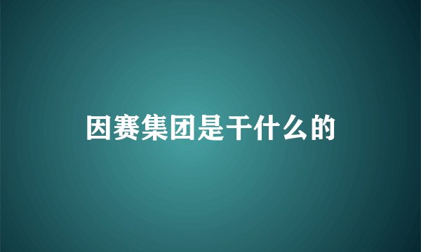 因赛集团是干什么的