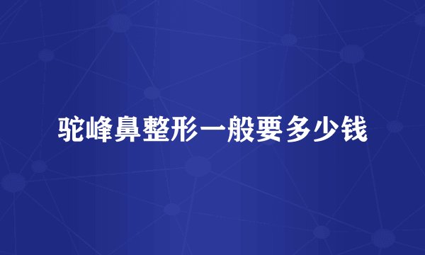 驼峰鼻整形一般要多少钱