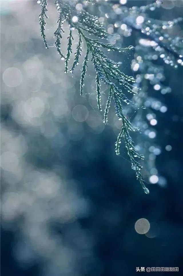 天涯何处无芳草和天涯何处觅知音的意思有什么不同?