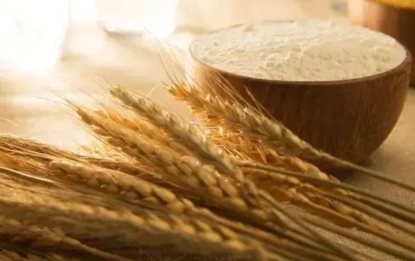 我国粮食进口量是多少？