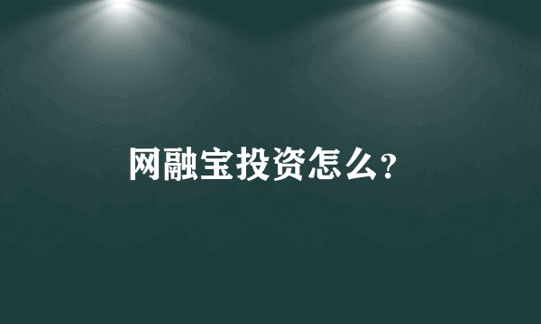 网融宝投资怎么？