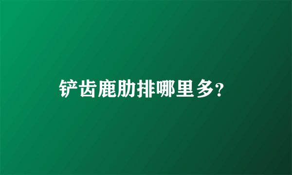 铲齿鹿肋排哪里多？