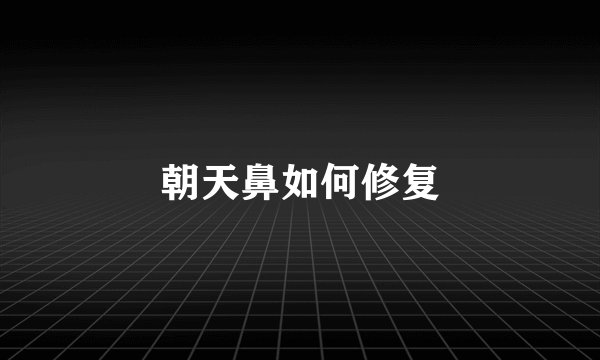朝天鼻如何修复