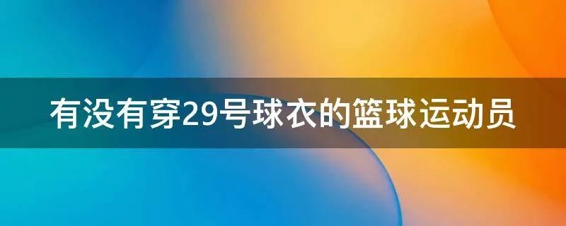 有没有穿29号球衣的篮球运动员