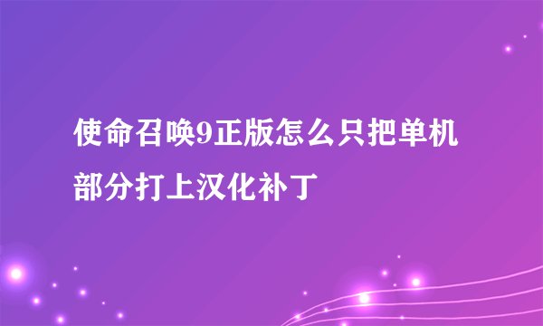 使命召唤9正版怎么只把单机部分打上汉化补丁