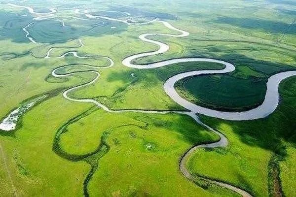 湿地为什么称为地球之肾