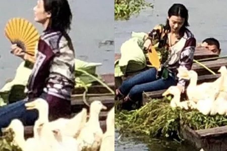 马思纯给鸭子扇风 难道是怕周冬雨中暑吗