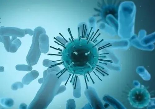 美国纽约州，进入灾难紧急状态！这一次又是什么病毒？