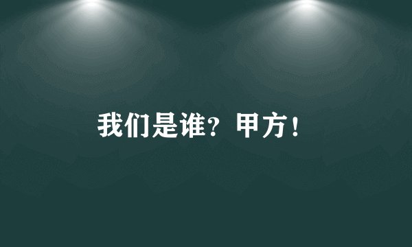 我们是谁？甲方！