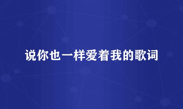 说你也一样爱着我的歌词