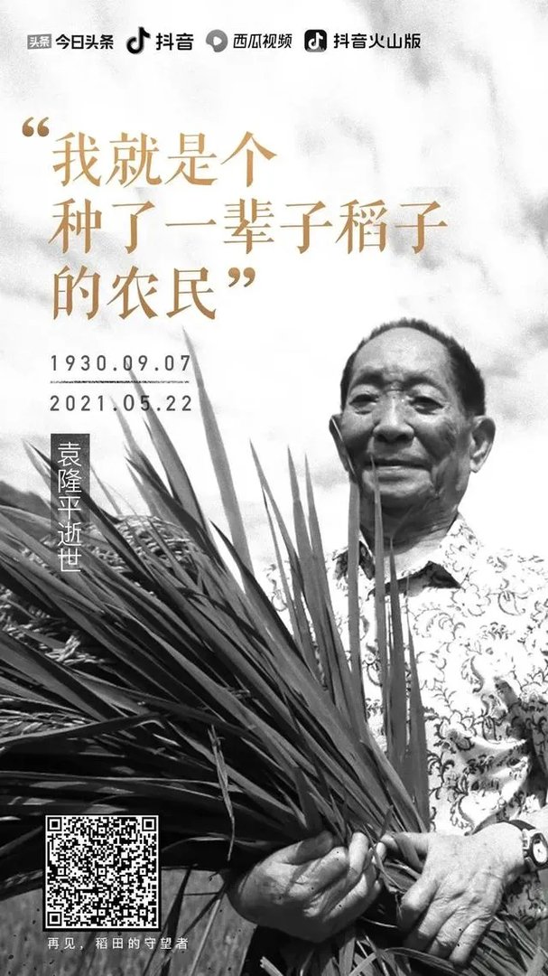 袁隆平爷爷是不是真的去世了？