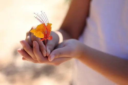 邪帝嗜宠小狂后小说云轻婉紫焰完整版阅读