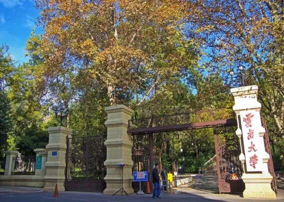 2020云南高考分数线表一览 云南高考录取分数线2020