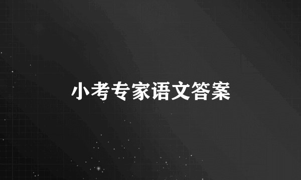 小考专家语文答案