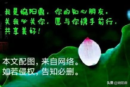 广场舞为何会成为“中国第一运动”?