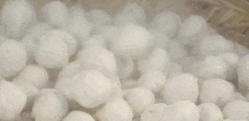 做鱼丸用什么海鱼