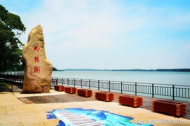 崇明有什么好玩的地方？