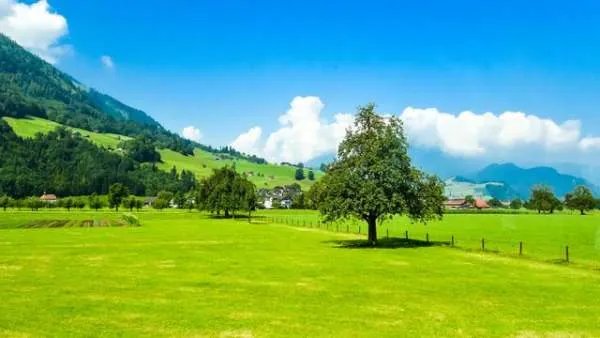 关于茅台集团员工一律不允许离开仁怀一事，你有何看法？