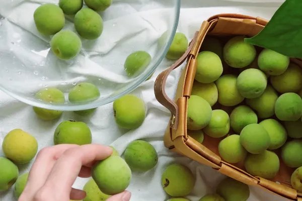 青梅酒的制作方法步骤