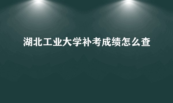 湖北工业大学补考成绩怎么查