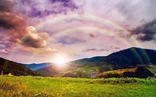 关于茅台集团员工一律不允许离开仁怀一事，你有何看法？