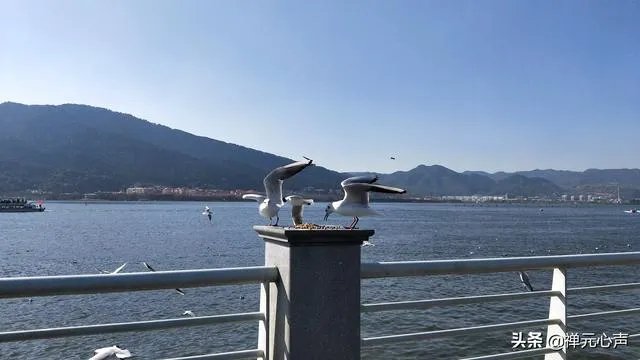 2021年的春节你是怎么过的？