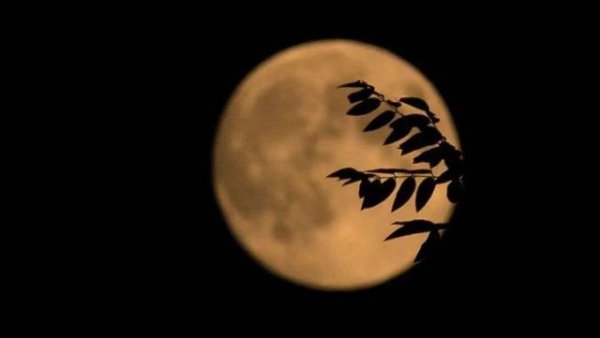 双星伴月连续两晚出现是怎么回事？