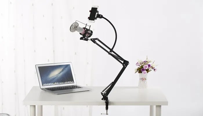 天上飞的是什么鸟儿还是云朵歌名