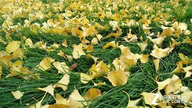 堪比相机 nubia Z9 Max精英版专项评测