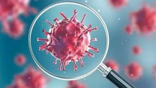 上海迪士尼区域是中风险地区吗？