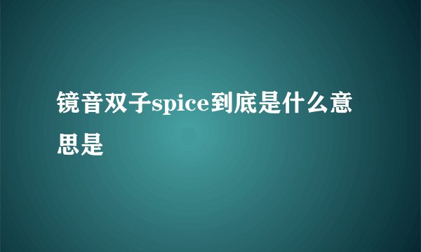 镜音双子spice到底是什么意思是