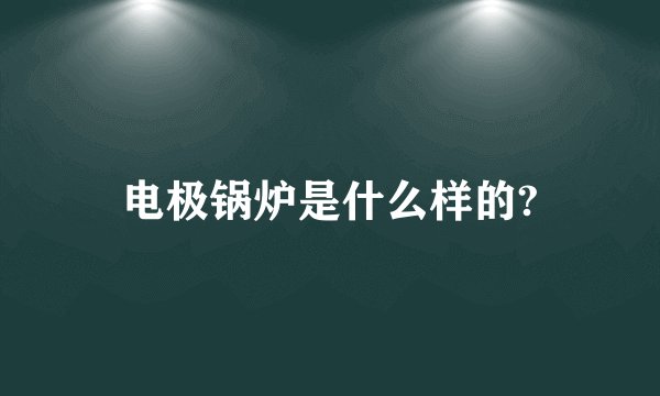 电极锅炉是什么样的?