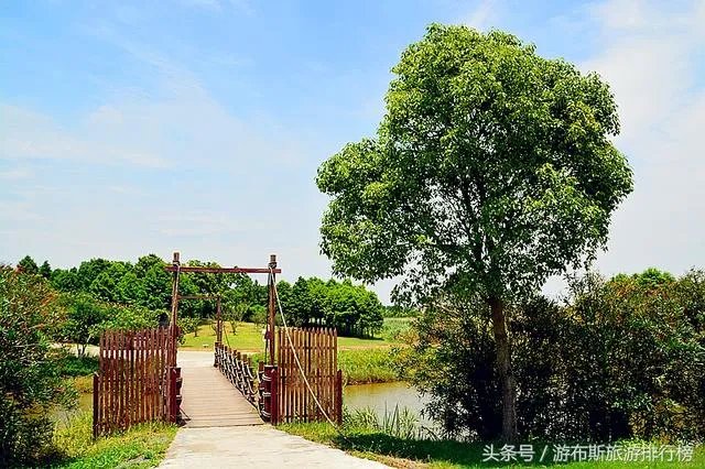 崇明有什么好玩的地方？