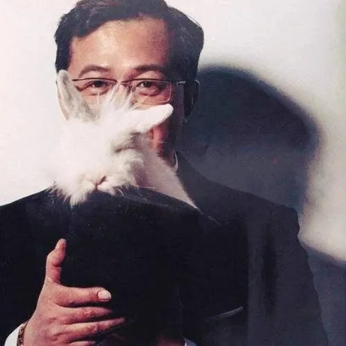 卓伟不怕被人报复吗？