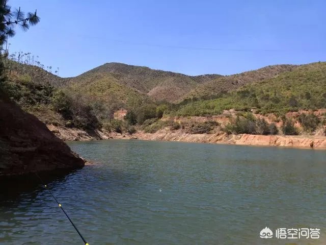 在农村准备做小型养殖，但不知道适合养什么？有好的项目推荐吗？