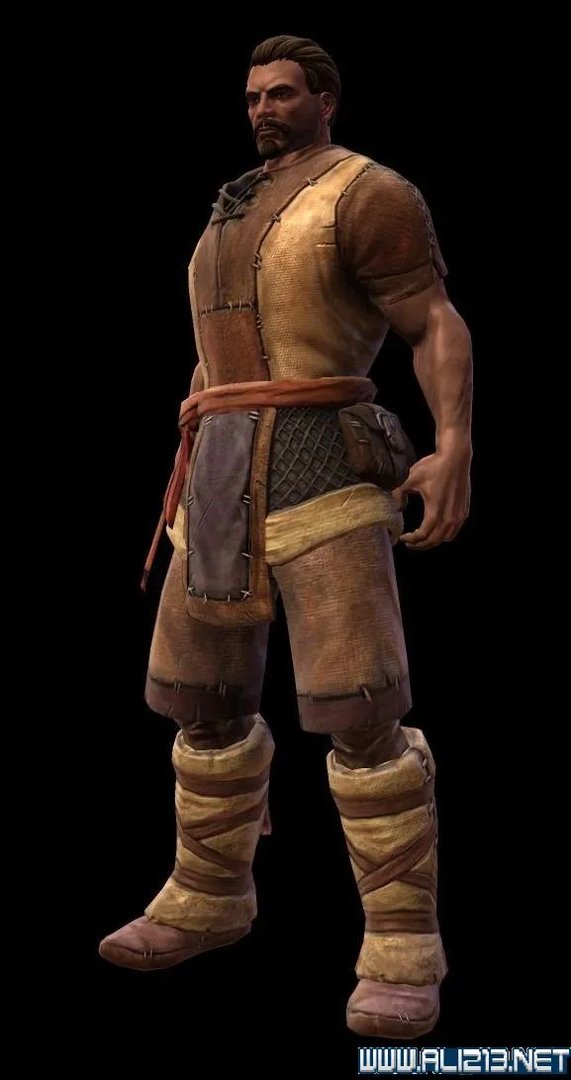 《阿玛拉王国惩罚重制版》新手攻略+全能力技能效果详解