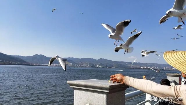 2021年的春节你是怎么过的？