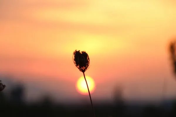 好听的公会名字排行榜 公会名称大全简单大气