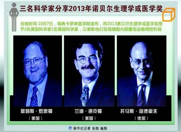 2013年诺贝尔生理学或医学奖的具体贡献及人物简介