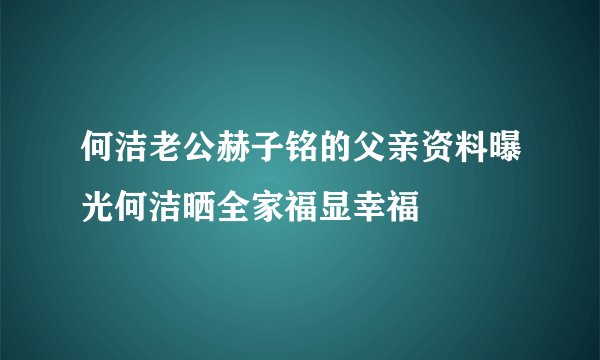 何洁老公赫子铭的父亲资料曝光何洁晒全家福显幸福