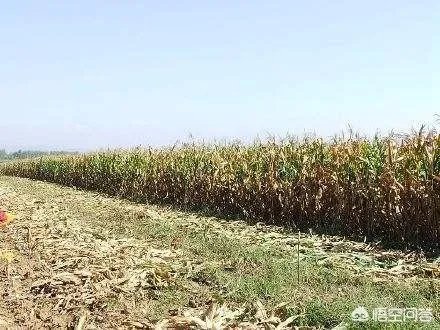 高考后,最难熬的是什么时候?