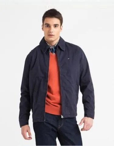 汤米·希尔费格的品牌故事