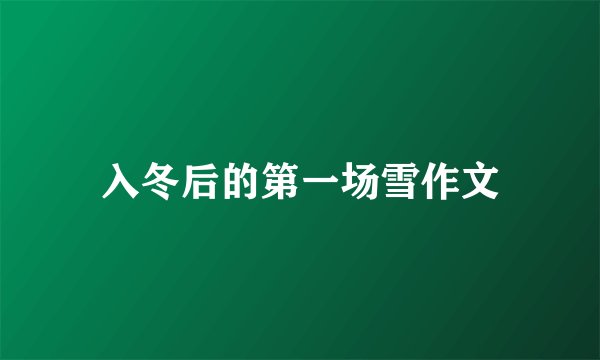 入冬后的第一场雪作文