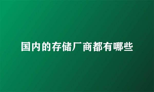 国内的存储厂商都有哪些