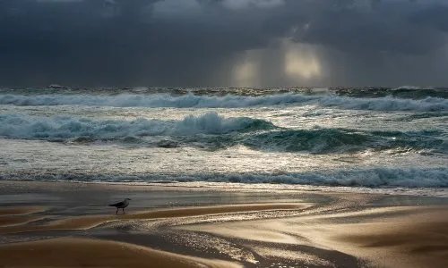 6.1级地震在新西兰发生,什么特征的地区会有比较多的地震灾害?