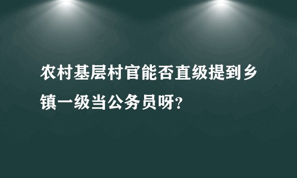 农村基层村官能否直级提到乡镇一级当公务员呀？