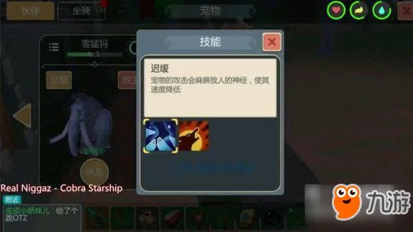 创造与魔法宠物技能汇总一览 宠物有哪些