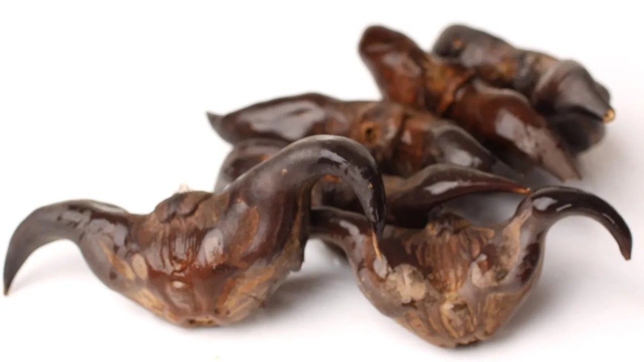 荸荠的功效 荸荠营养价值有哪些