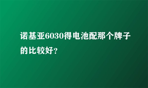 诺基亚6030得电池配那个牌子的比较好？