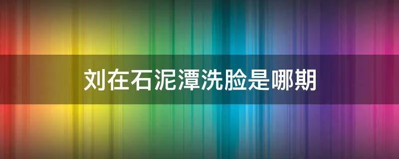 刘在石泥潭洗脸是哪期